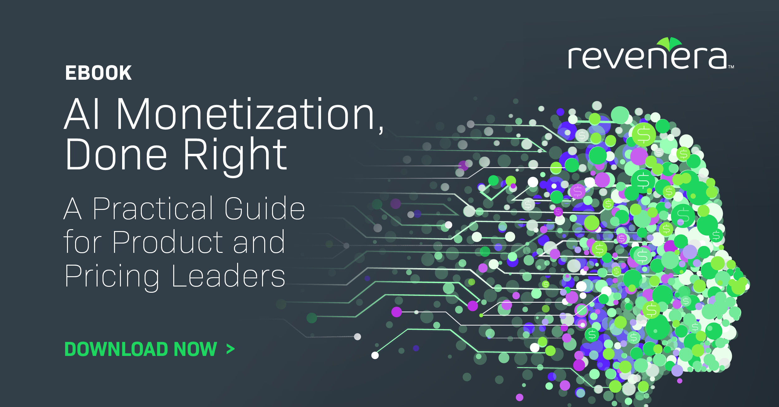 AI Monetization, Done Right: A Practical Guide for Product and Pricing ...